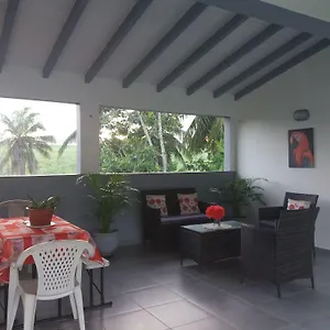 Bananier Hébergement de vacances Lamentin